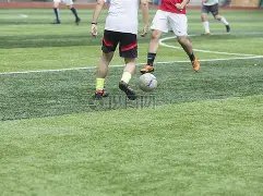 足坛年度盛,金猴大奖揭,归属揭秘,新葡京,新葡京app,新葡京娱乐,新普京赌场