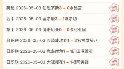 珀斯VS墨尔本：巅峰对决，野猫激战凤凰，总分预测揭秘！